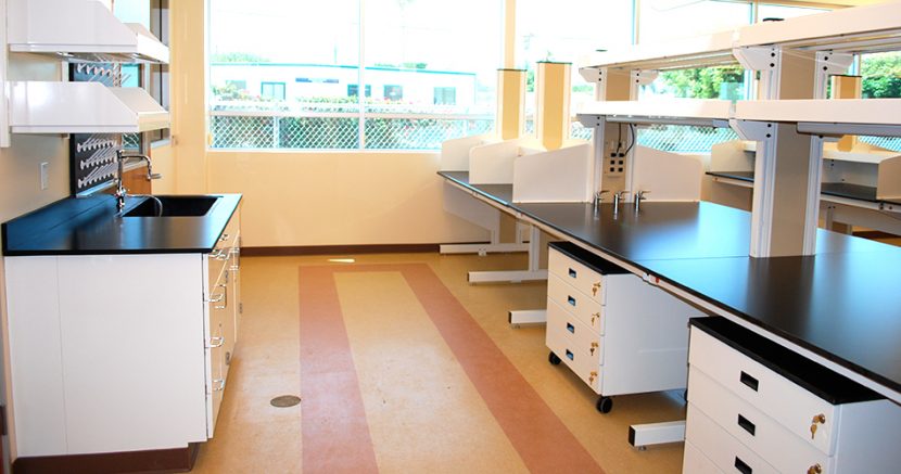 C2 Lab benches 830x437 - The Establishment Of A Laboratory Kitchen Is Given Their Suggestions